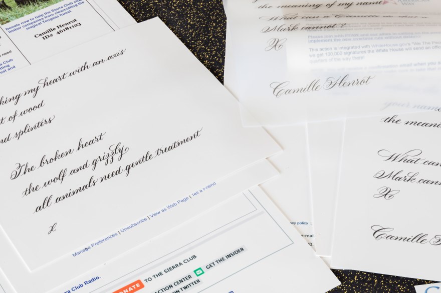 bb9_camille_henrot_03