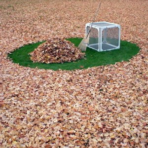 33-Raking-leaves-can-be-totally-zen1