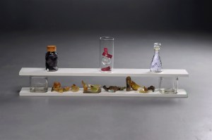 Contained, 2012, wood, glass, paper and textile, 48" x 20" x 6"